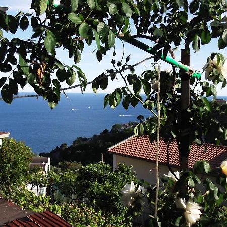 Le Mimose Villa วิเอตริ ภายนอก รูปภาพ