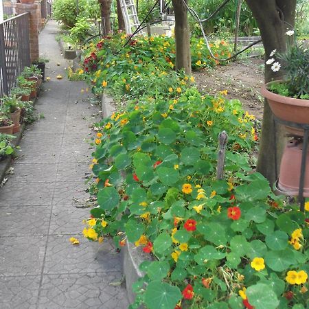 Le Mimose Villa วิเอตริ ภายนอก รูปภาพ