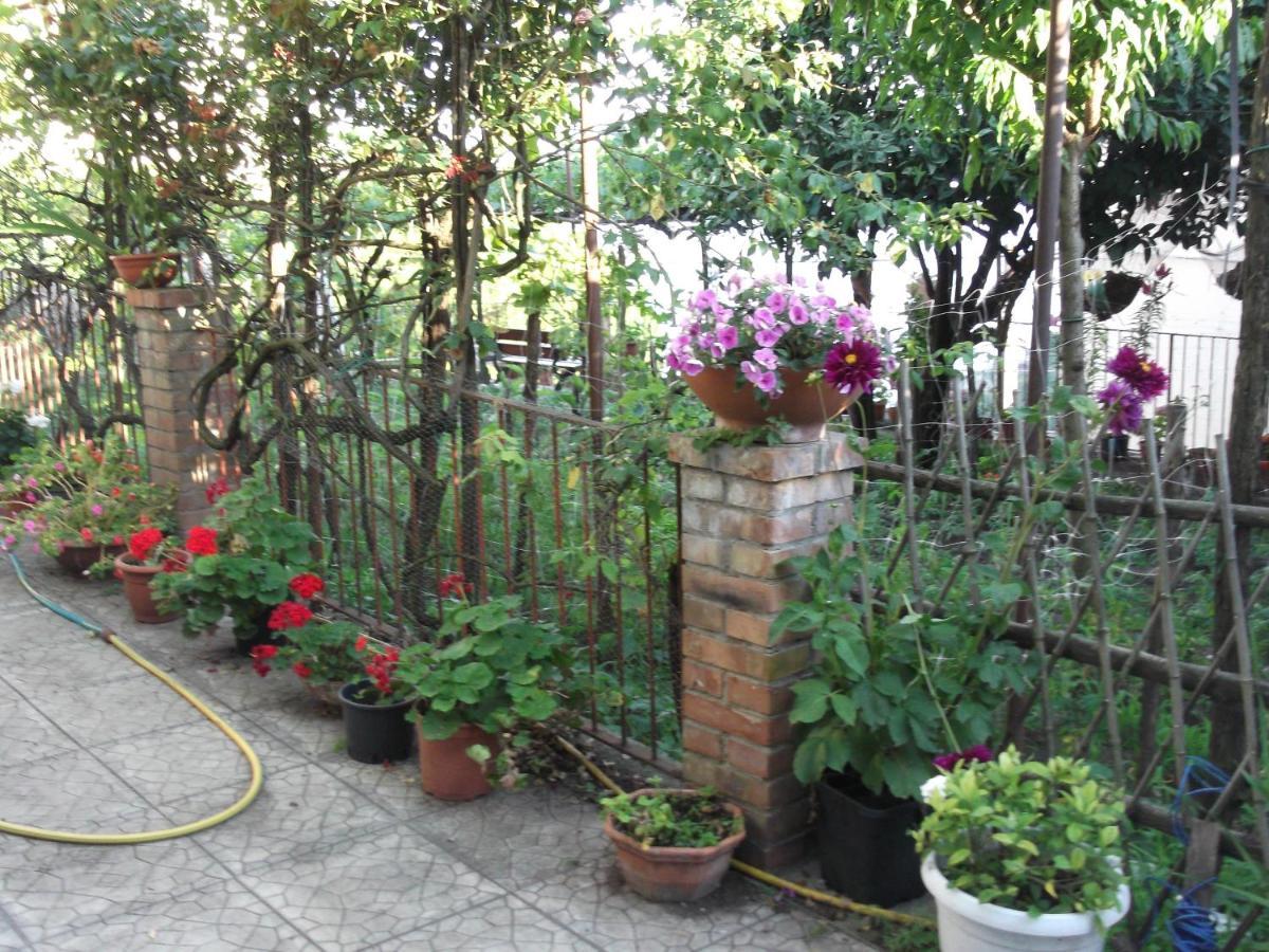 Le Mimose Villa วิเอตริ ภายนอก รูปภาพ