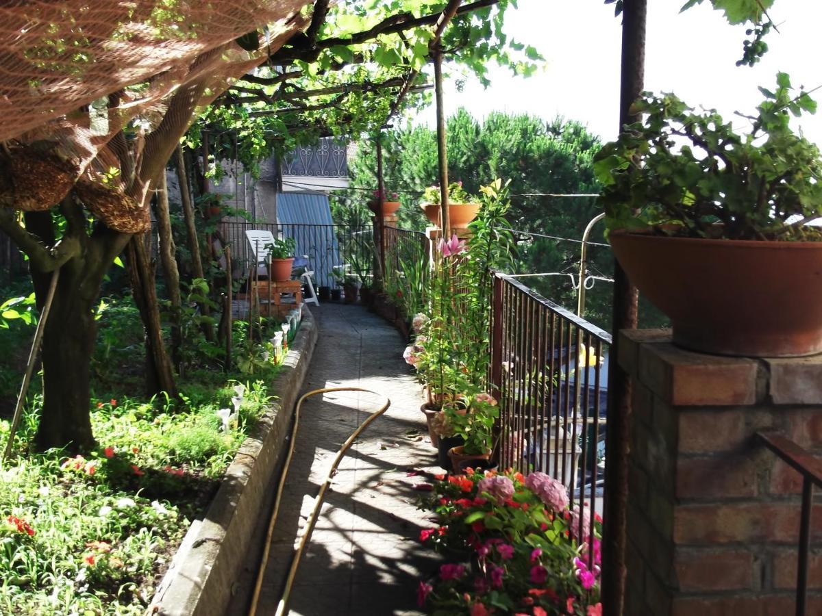 Le Mimose Villa วิเอตริ ภายนอก รูปภาพ
