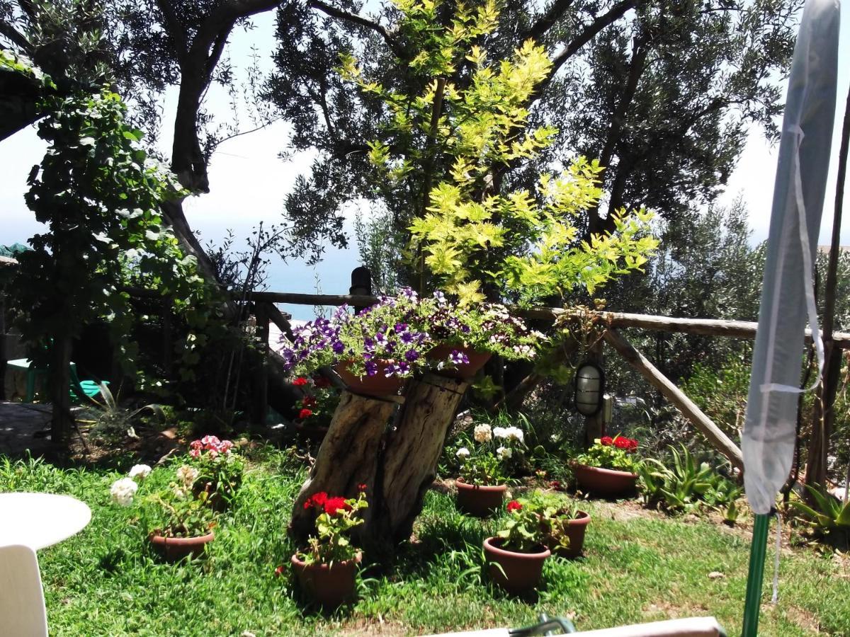 Le Mimose Villa วิเอตริ ภายนอก รูปภาพ