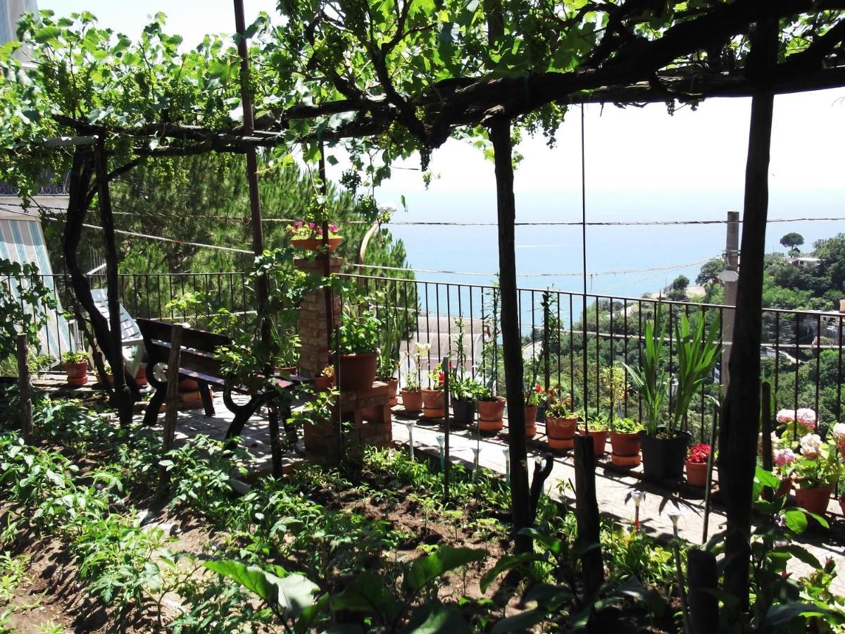 Le Mimose Villa วิเอตริ ภายนอก รูปภาพ