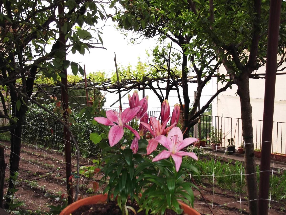 Le Mimose Villa วิเอตริ ภายนอก รูปภาพ