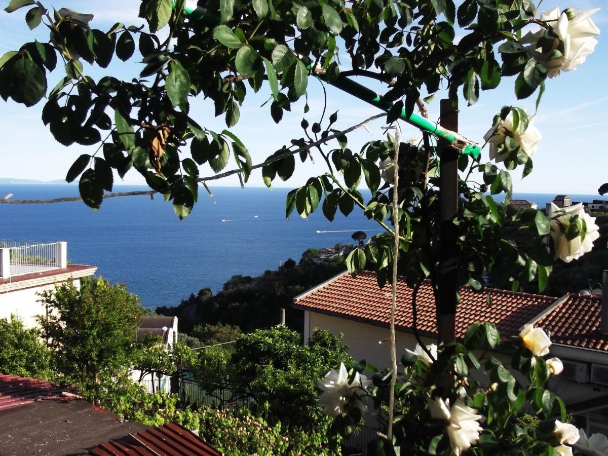 Le Mimose Villa วิเอตริ ภายนอก รูปภาพ