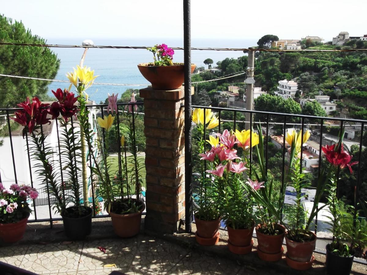 Le Mimose Villa วิเอตริ ภายนอก รูปภาพ