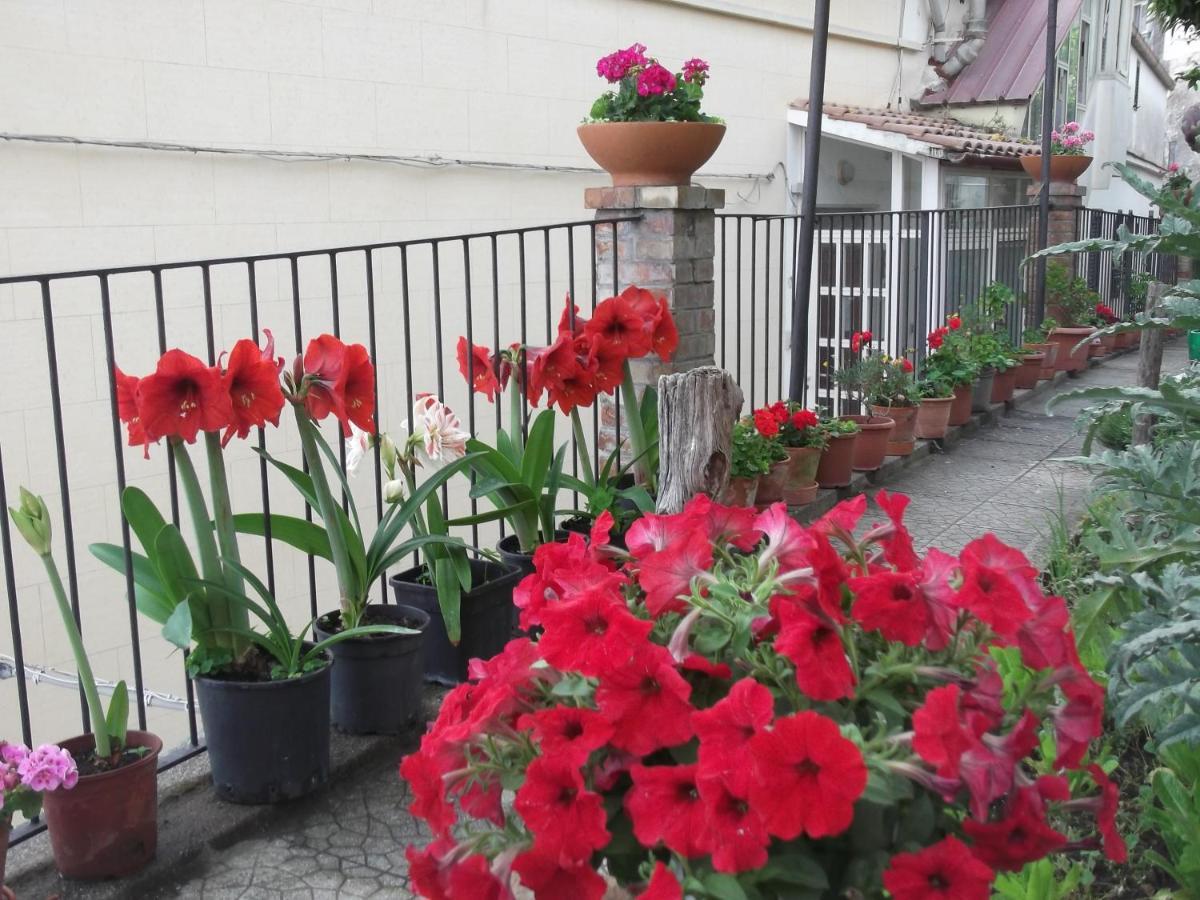 Le Mimose Villa วิเอตริ ภายนอก รูปภาพ