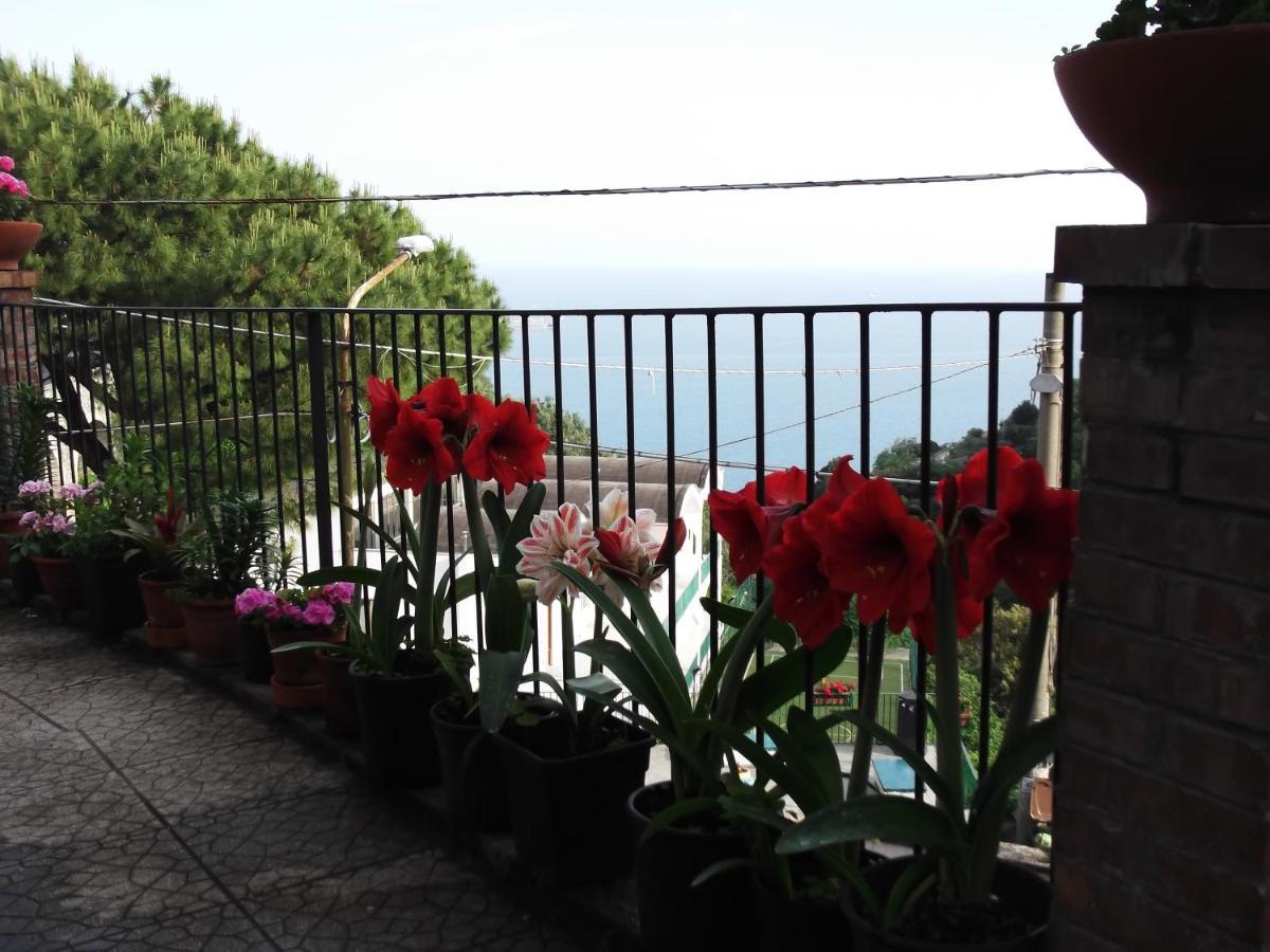 Le Mimose Villa วิเอตริ ภายนอก รูปภาพ