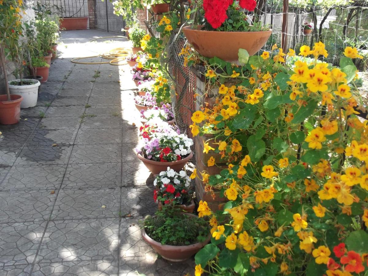 Le Mimose Villa วิเอตริ ภายนอก รูปภาพ