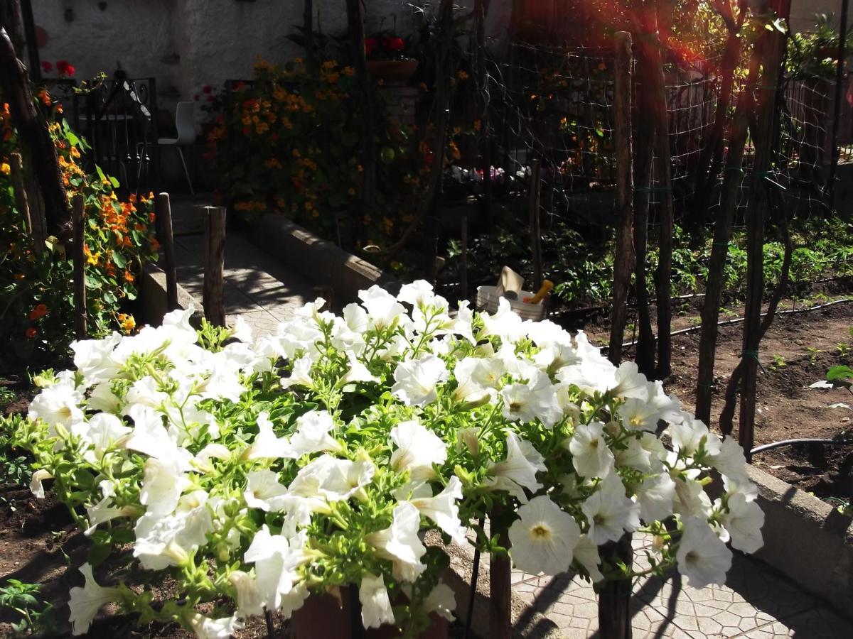 Le Mimose Villa วิเอตริ ภายนอก รูปภาพ
