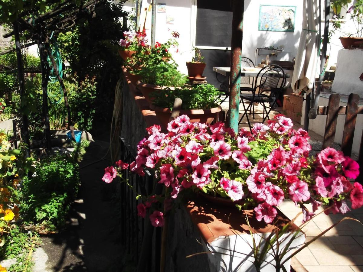 Le Mimose Villa วิเอตริ ภายนอก รูปภาพ