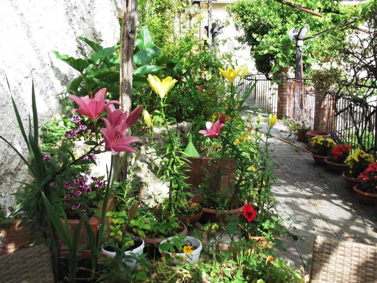 Le Mimose Villa วิเอตริ ภายนอก รูปภาพ