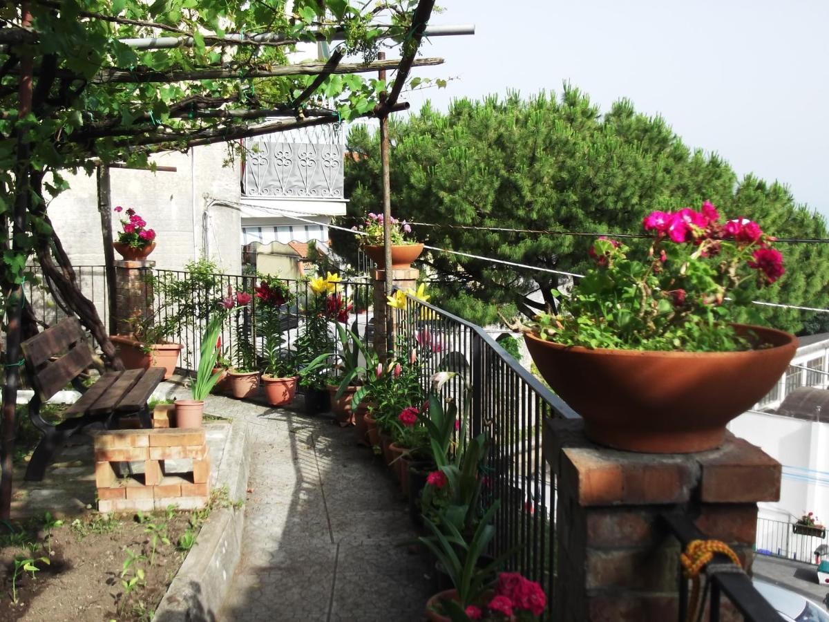 Le Mimose Villa วิเอตริ ภายนอก รูปภาพ