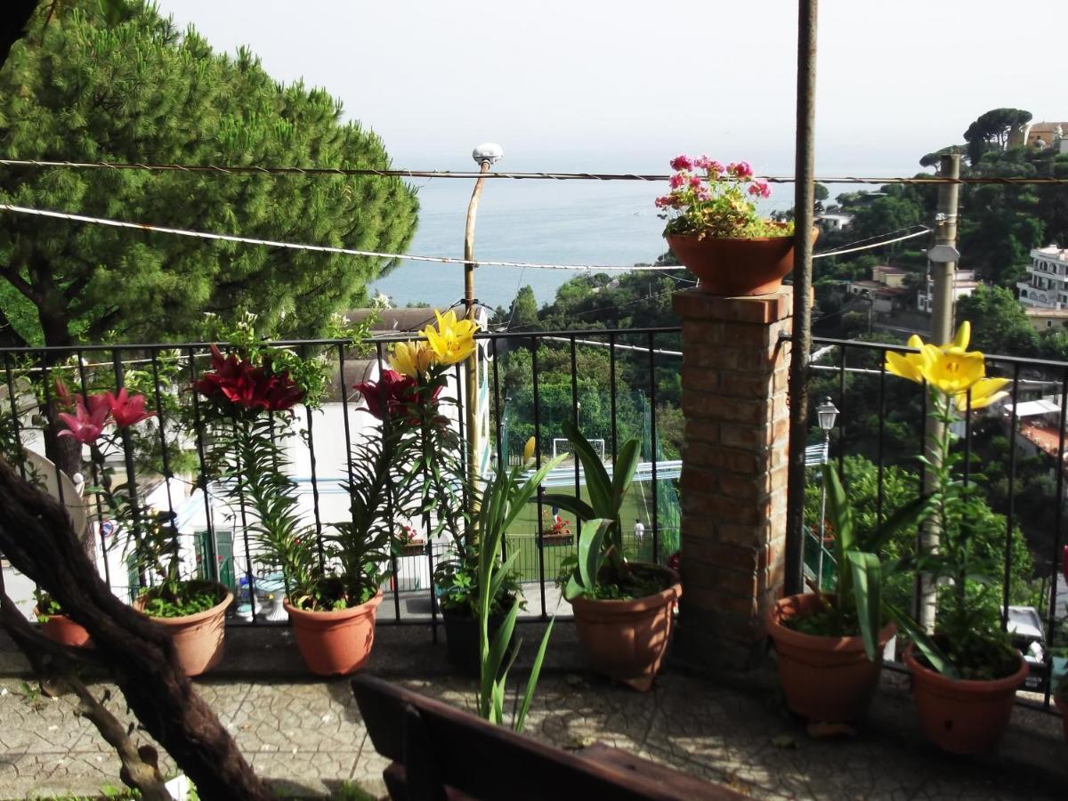 Le Mimose Villa วิเอตริ ภายนอก รูปภาพ