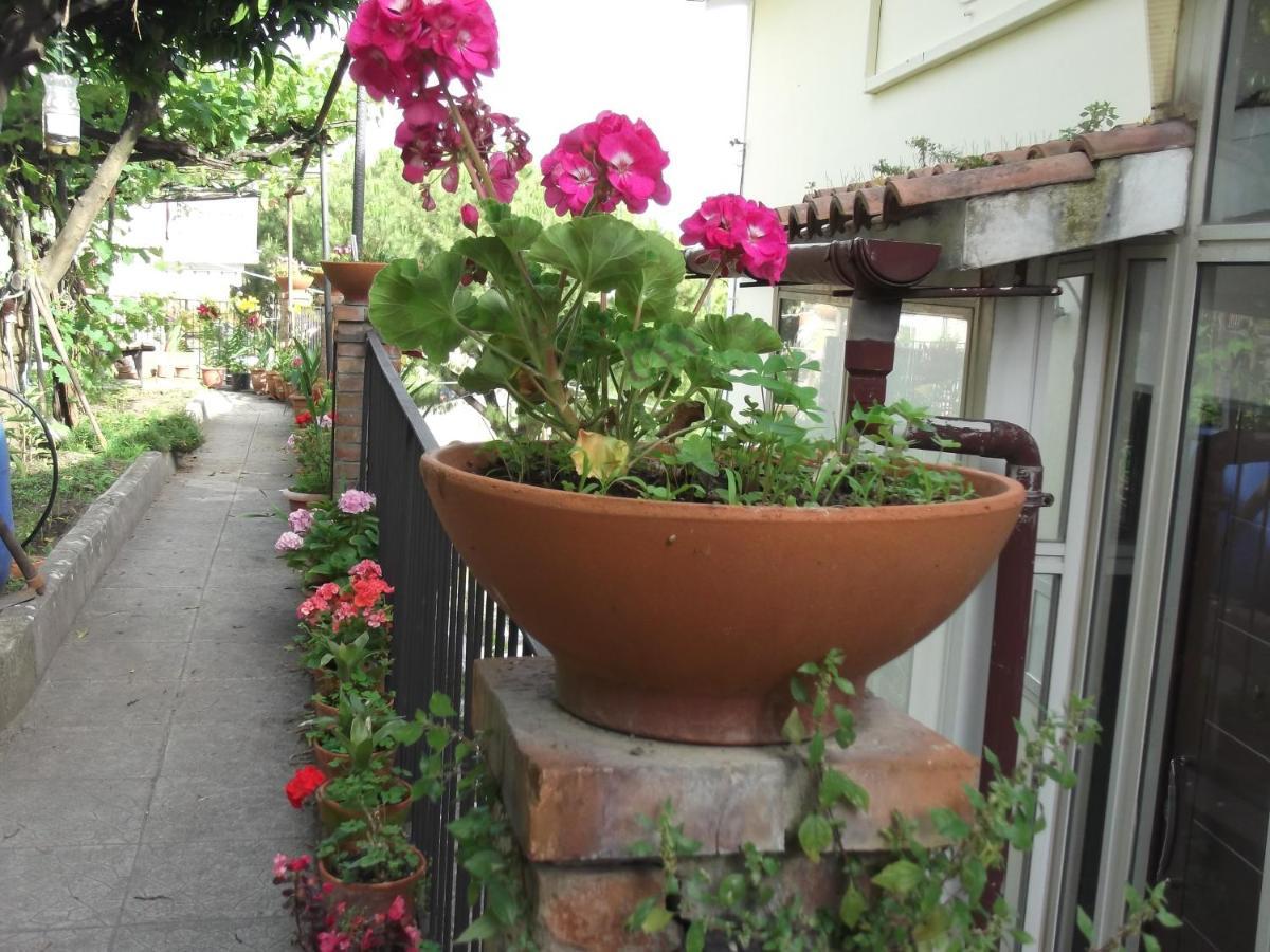 Le Mimose Villa วิเอตริ ภายนอก รูปภาพ