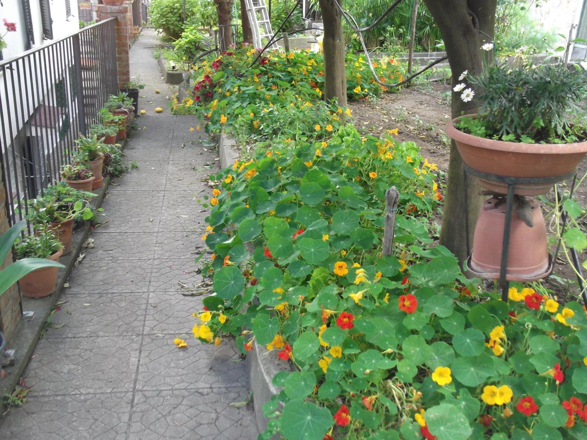 Le Mimose Villa วิเอตริ ภายนอก รูปภาพ