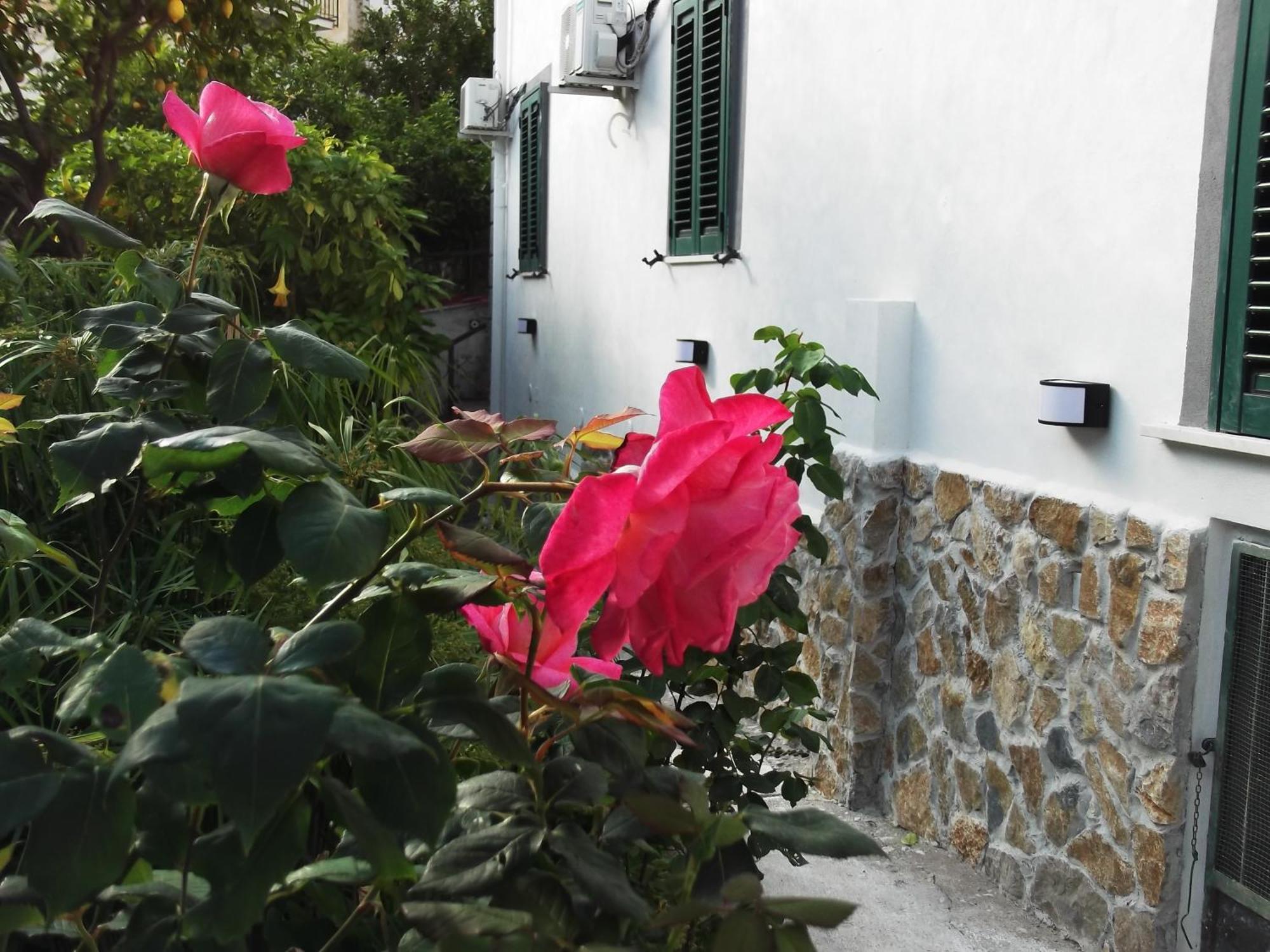 Le Mimose Villa วิเอตริ ภายนอก รูปภาพ