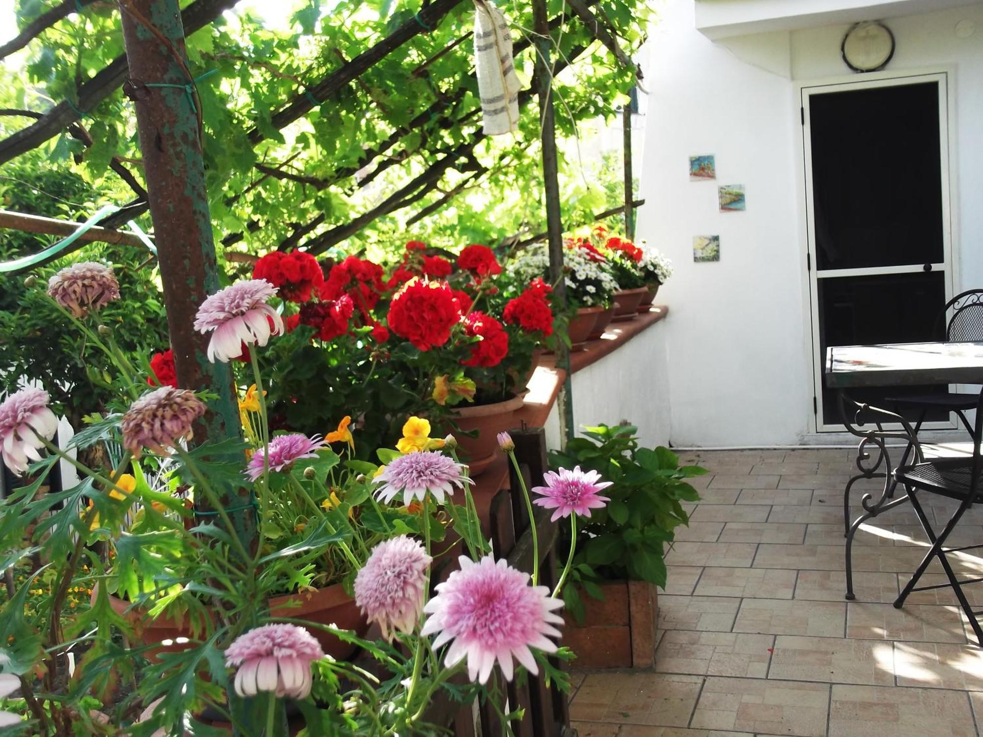 Le Mimose Villa วิเอตริ ภายนอก รูปภาพ
