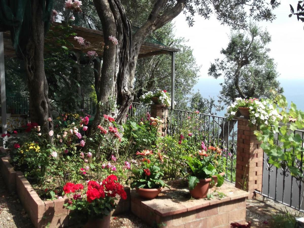 Le Mimose Villa วิเอตริ ภายนอก รูปภาพ