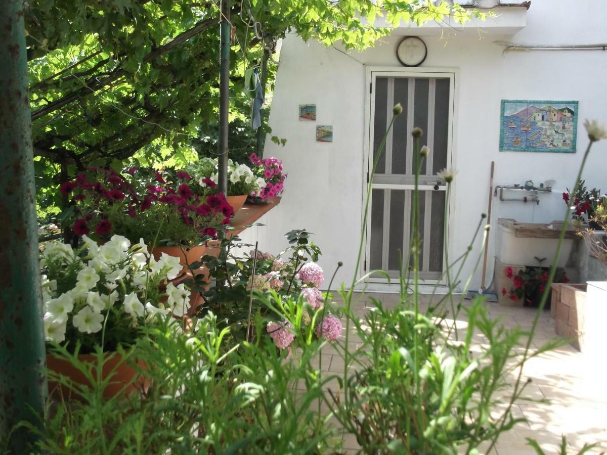 Le Mimose Villa วิเอตริ ภายนอก รูปภาพ