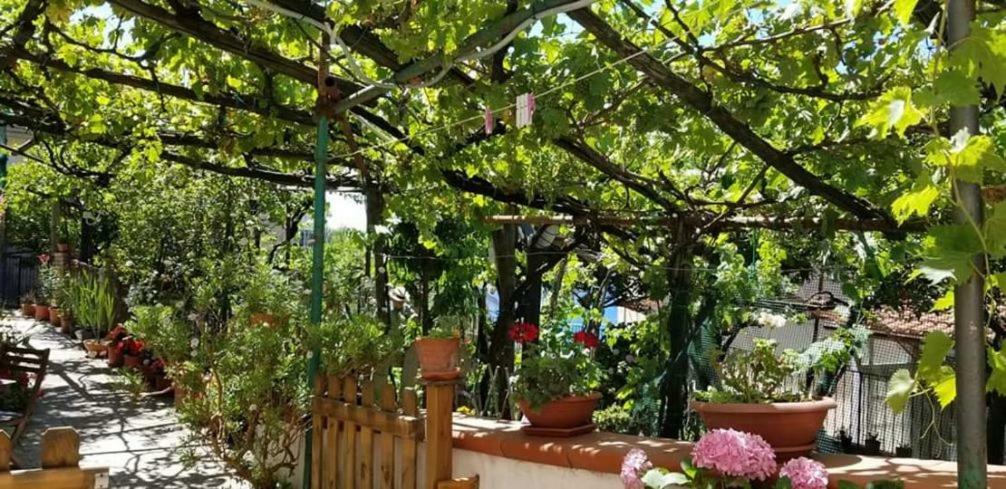 Le Mimose Villa วิเอตริ ภายนอก รูปภาพ